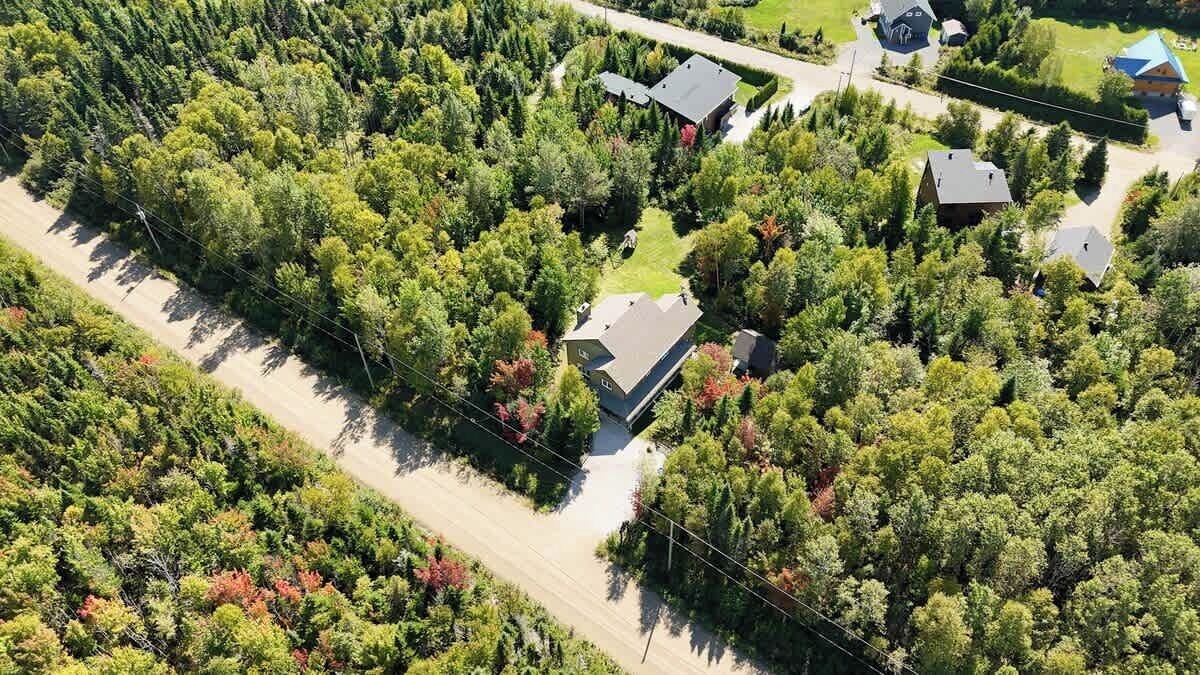 An aerial view of a residential area with houses surrounded by dense trees, a clear road, and a visible power line.