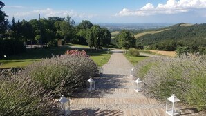 Un sentier de gravier traverse un jardin où l’on trouve des buissons de lavande et des lanternes, le tout étant entouré de verdure et de collines.