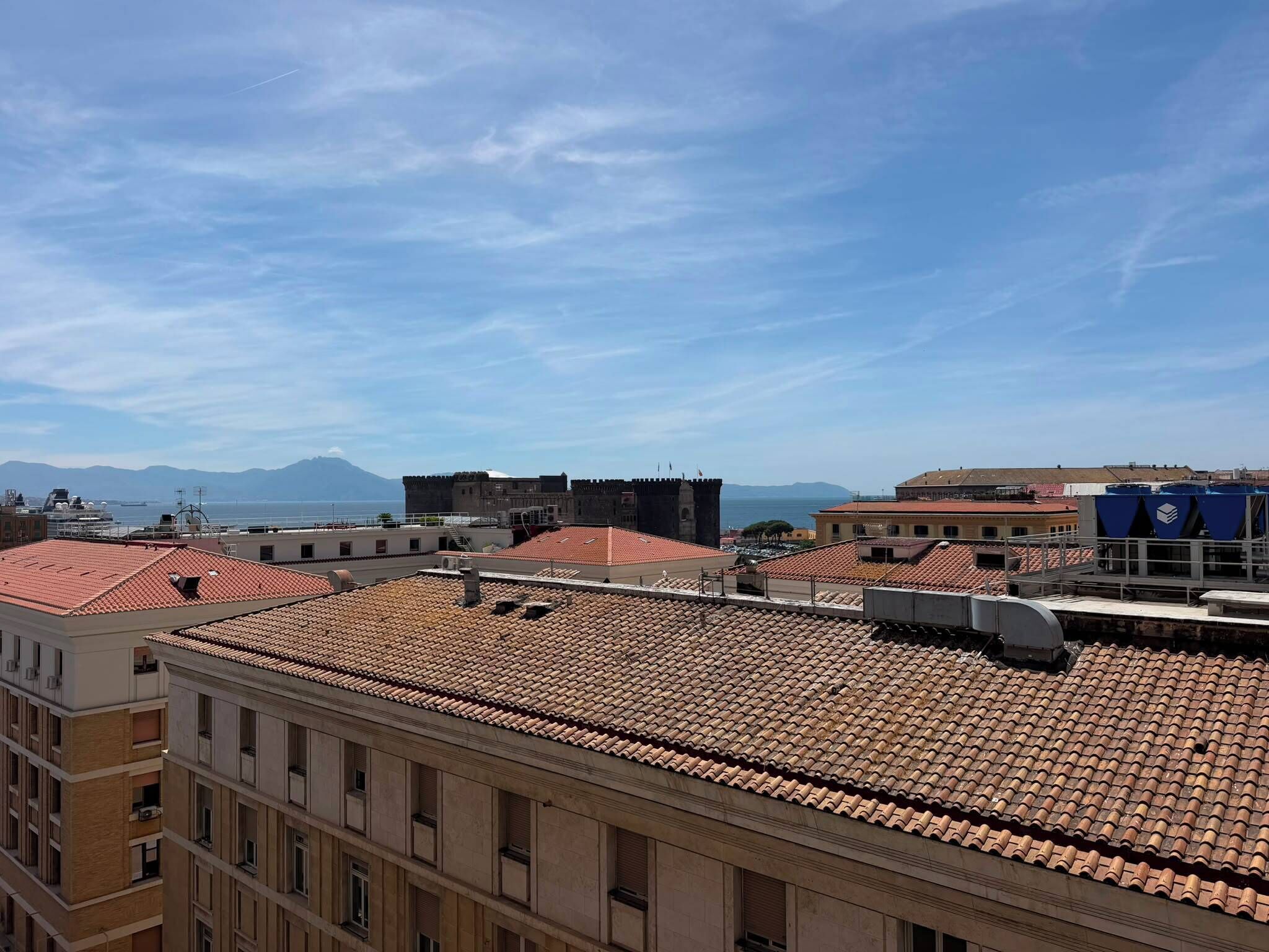 Une vue urbaine avec des toits recouverts de tuiles en terre cuite, un bâtiment historique et une étendue d’eau au loin.