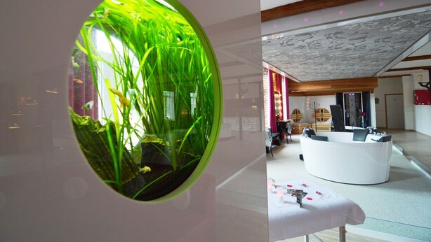 Un interior moderno con una zona de recepción, un gran acuario ovalado y un mostrador de recepción.