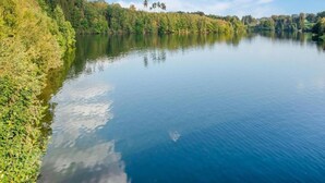 Un lac paisible, entouré d’une forêt dense.