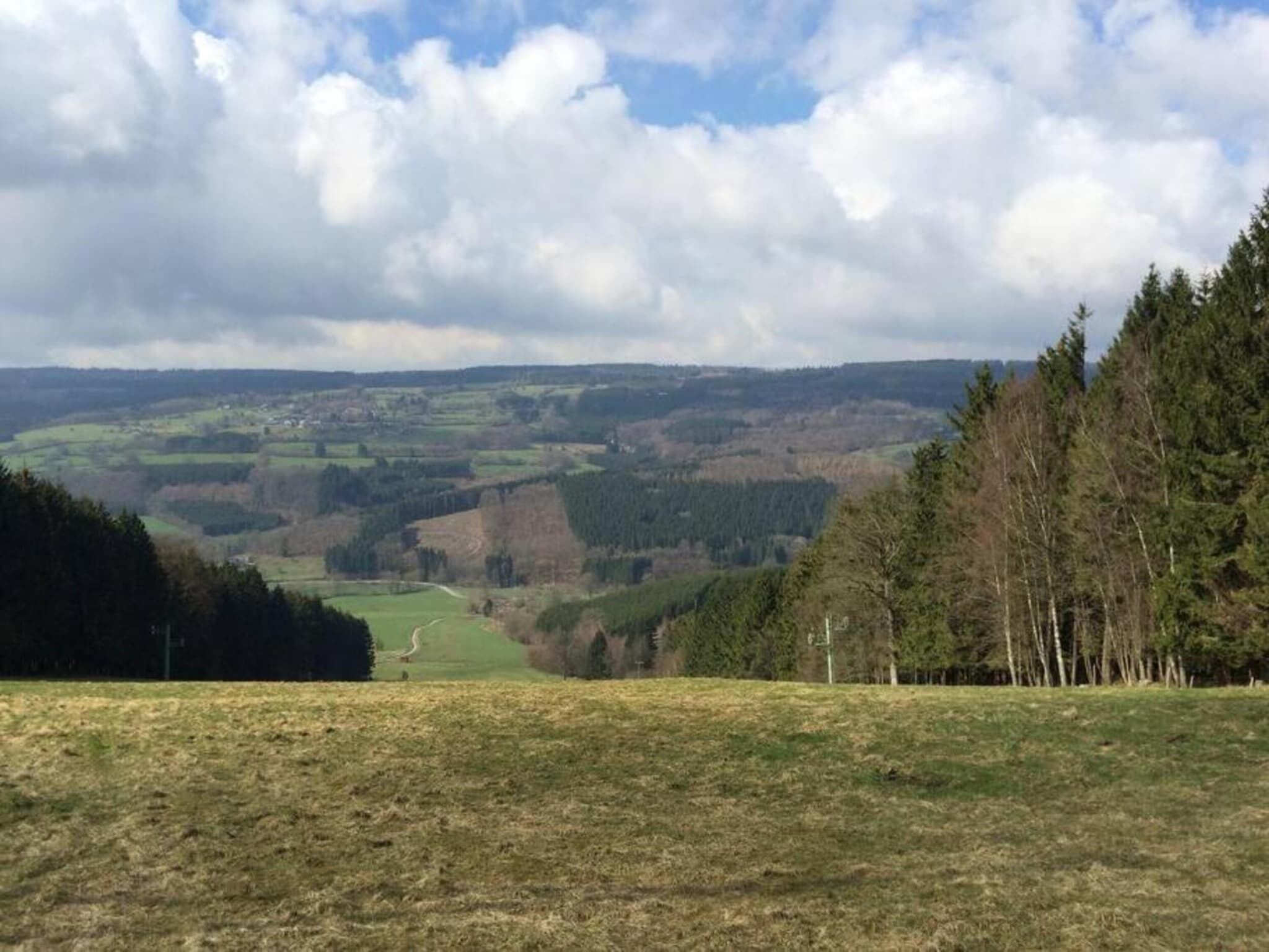 A panoramic view of a hilly landscape with a mix of open fields and dense forests.