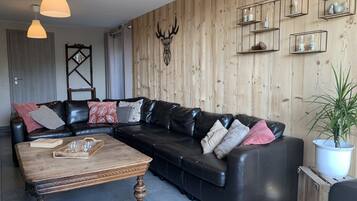 Televisión, chimenea, futbolito y tenis de mesa