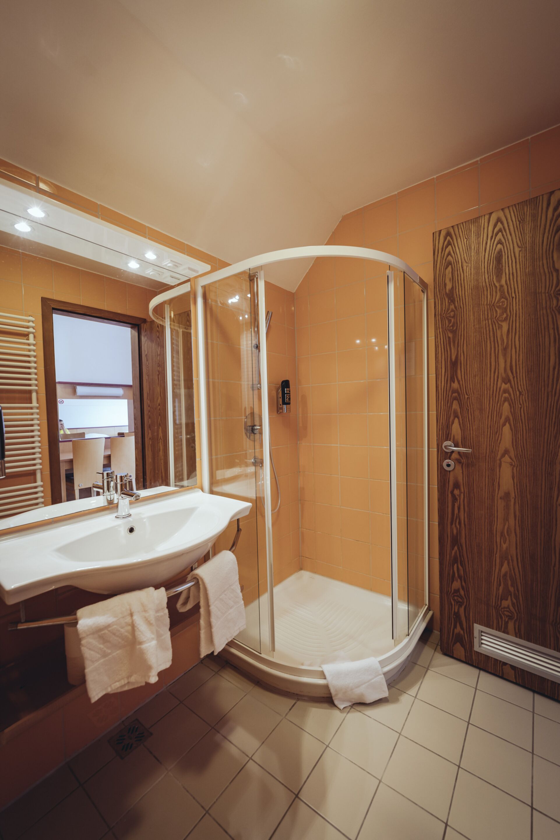 Un baño moderno con ducha de vidrio, un lavamanos grande y una puerta de madera.