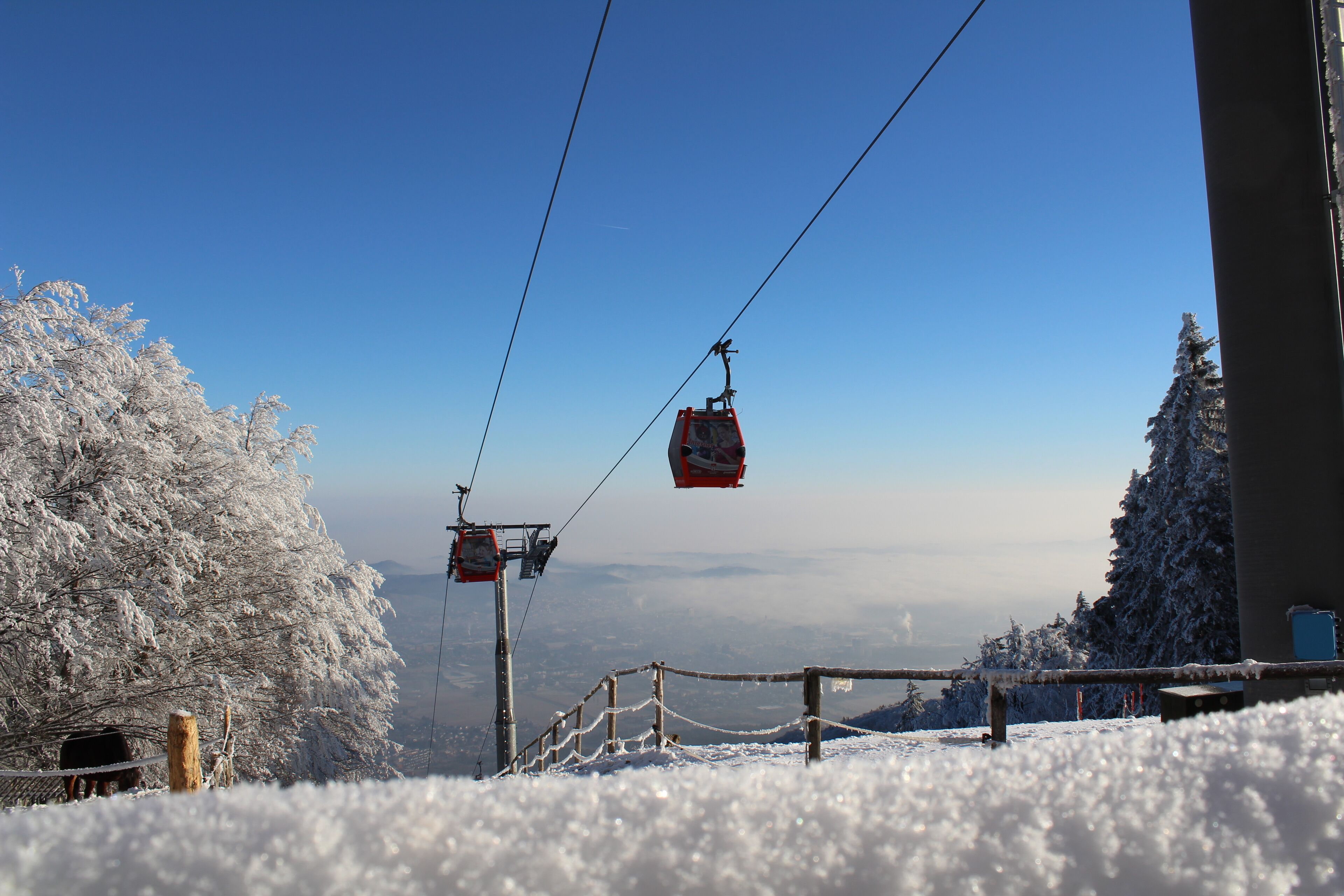 Un telesilla con cabinas suspendidas por cables, rodeado de árboles cubiertos de nieve y un cielo despejado.