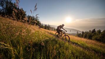 A mountain biker on a trail with a clear sky and distant mountains.