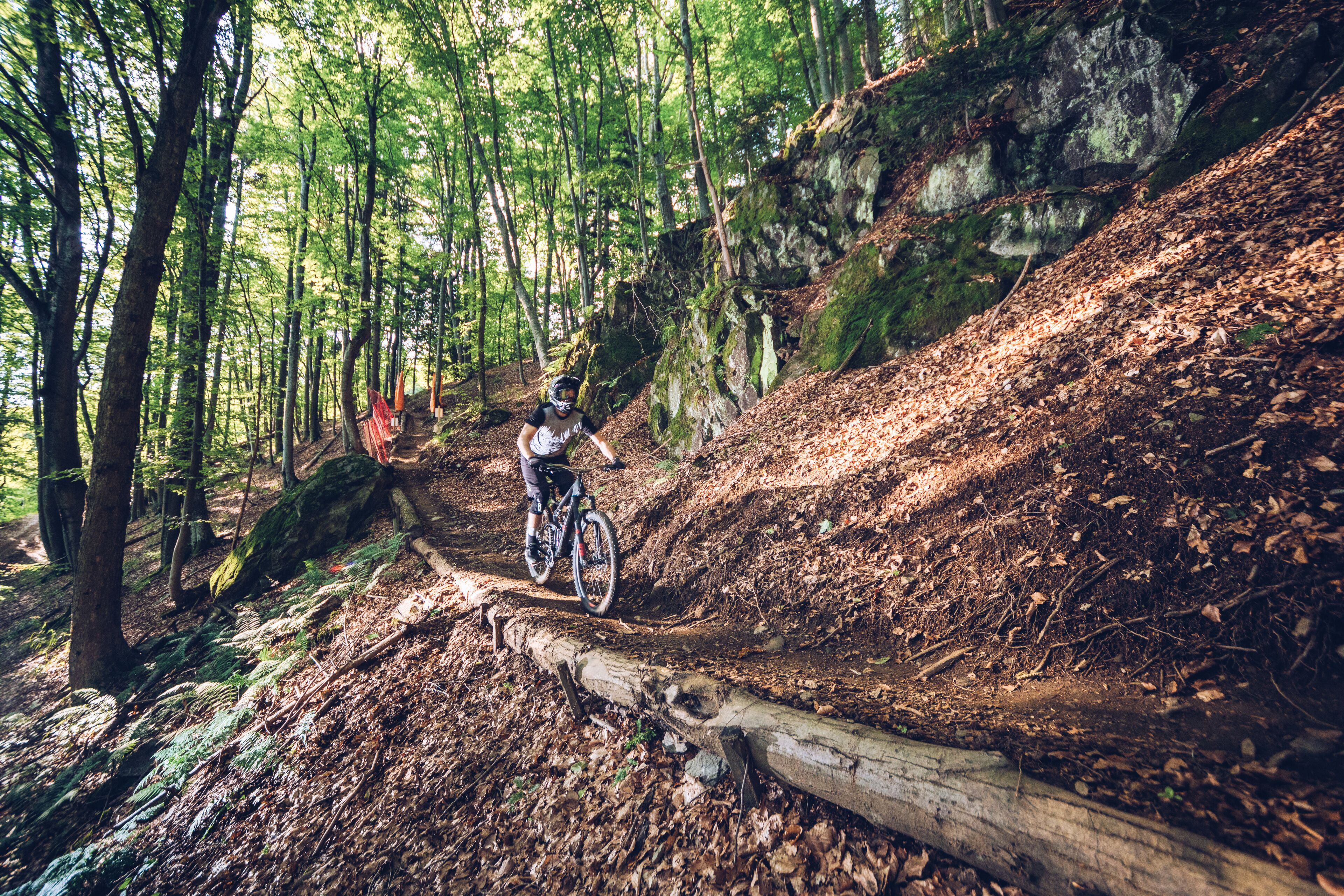 Un ciclista de montaña pedalea sobre un sendero de tierra en un área boscosa, con árboles y un tronco caído.