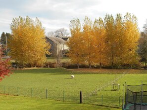 Sport court - Spacious holiday home near Bastogne (Bertogne)