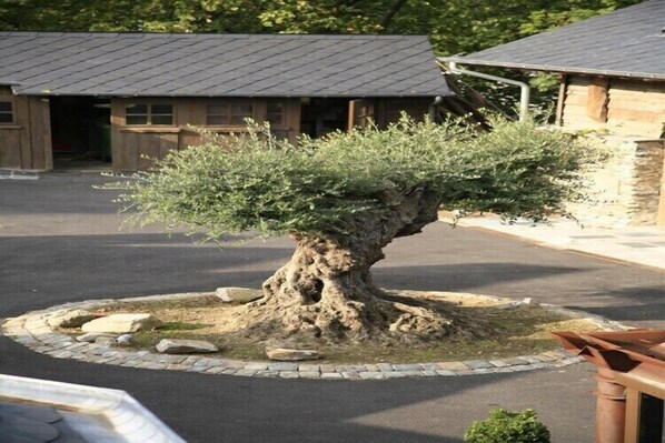 Overnattingsstedets uteområder