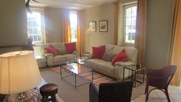 Télévision, cheminée, lecteur de DVD, chaßne hi-fi