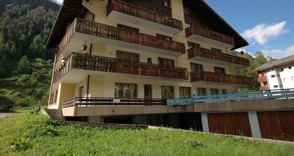 Appartement lumineux Ă Blatten avec cuisine ouverte