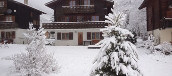 Apartment in Fieschertal with Swiss Alps Views