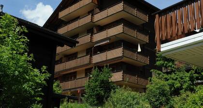 Wohnung in Bellwald nahe Skipisten