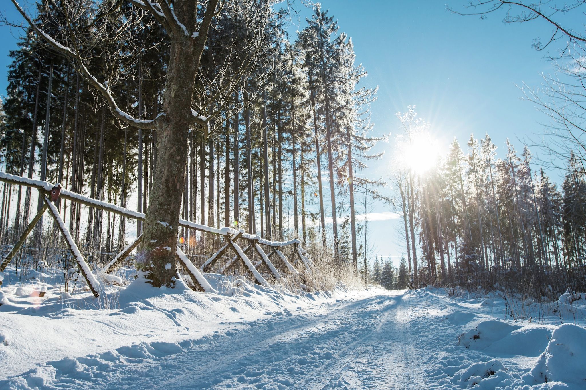 Surroundings [winter] (1-5 km)