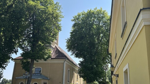 En bygning med gul facade, et synligt vindue og et træ foran.