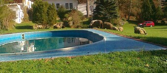 Maison à Bechyně avec Piscine et Sentiers