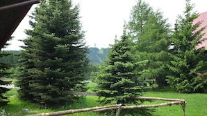 A grassy area with several large evergreen trees, a wooden fence, and a distant view of a building.