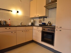 Fridge, oven, stovetop, dishwasher - Spacious holiday home in Zlata Olesnice (Zlata Olesnice)