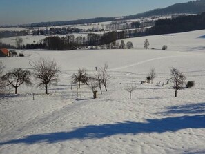A snow-covered landscape with sparse trees and a distant view of a town. - Spacious Group Retreat (Dlouhý)