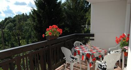 Spacious cottage in the Giant Mountains, 1 km from the skislopes