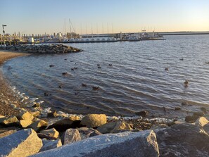 A marina with boats docked, a rocky shoreline, and a clear sky. - Walk to beach, cozy, lovely room in "Kingsmill on the James" (Williamsburg)