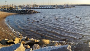 A marina with boats docked, a rocky shoreline, and ducks swimming in the water. - Walk to beach, cozy, lovely room in "Kingsmill on the James" (Williamsburg)