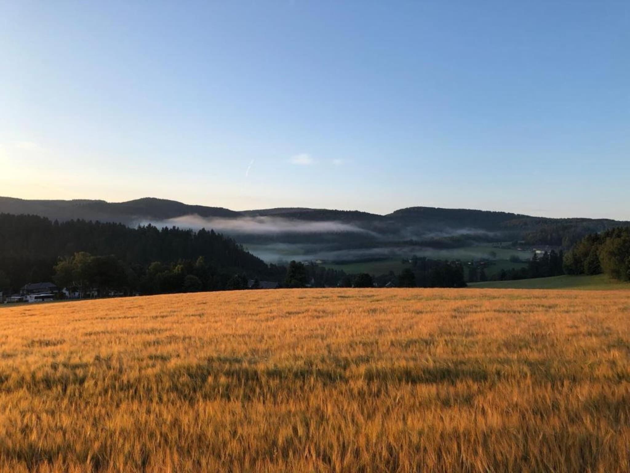 Dans la région [été] (>5 km)