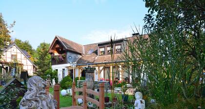 Gemütliches Ferienhaus mit Pool in Blankenburg