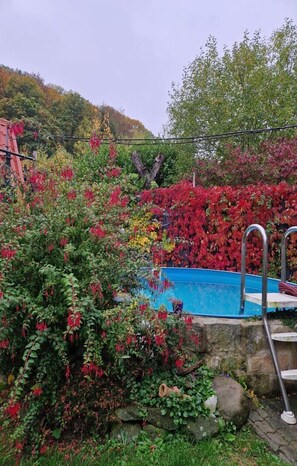 Pool - Gemütliches Ferienhaus mit Pool in Blankenburg (Blankenburg)