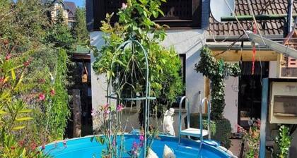 Gemütliches Ferienhaus mit Pool in Blankenburg