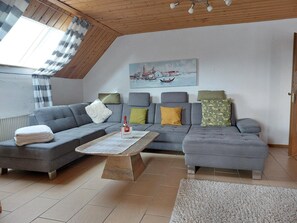 Télévision, cheminée, baby-foot, table de tennis de table