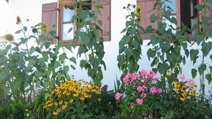 A garden with various flowers and plants in front of a building with wooden shutters. - Ferienwohnung, Ingenried (Ingenried)
