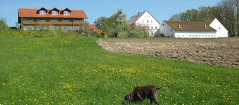 Wohnung in Rotthalmünster mit Balkon