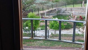 A view from a balcony with a railing, a small pond, and various plants and flowers.