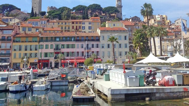 A marina with boats docked, a waterfront promenade, and historic buildings with a prominent tower.