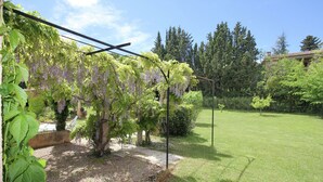 Een tuin met een pergola begroeid met wijg, een gazon en een stenen muur.