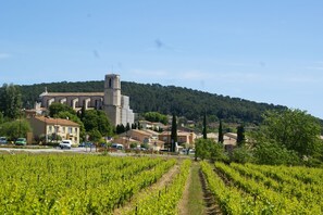 A vineyard with rows of grapevines and a historic building with a bell tower in the background.