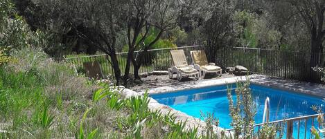 A swimming pool with lounge chairs, surrounded by trees and greenery.