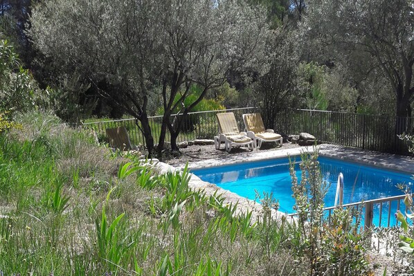 A swimming pool with lounge chairs, surrounded by trees and greenery.