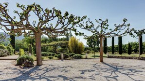 A garden with gravel paths, neatly trimmed trees, and a stone bench. - Cottage in Oppède with Poolside Bliss (Oppède)
