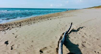 Farmhouse in Suvereto with Sea Views