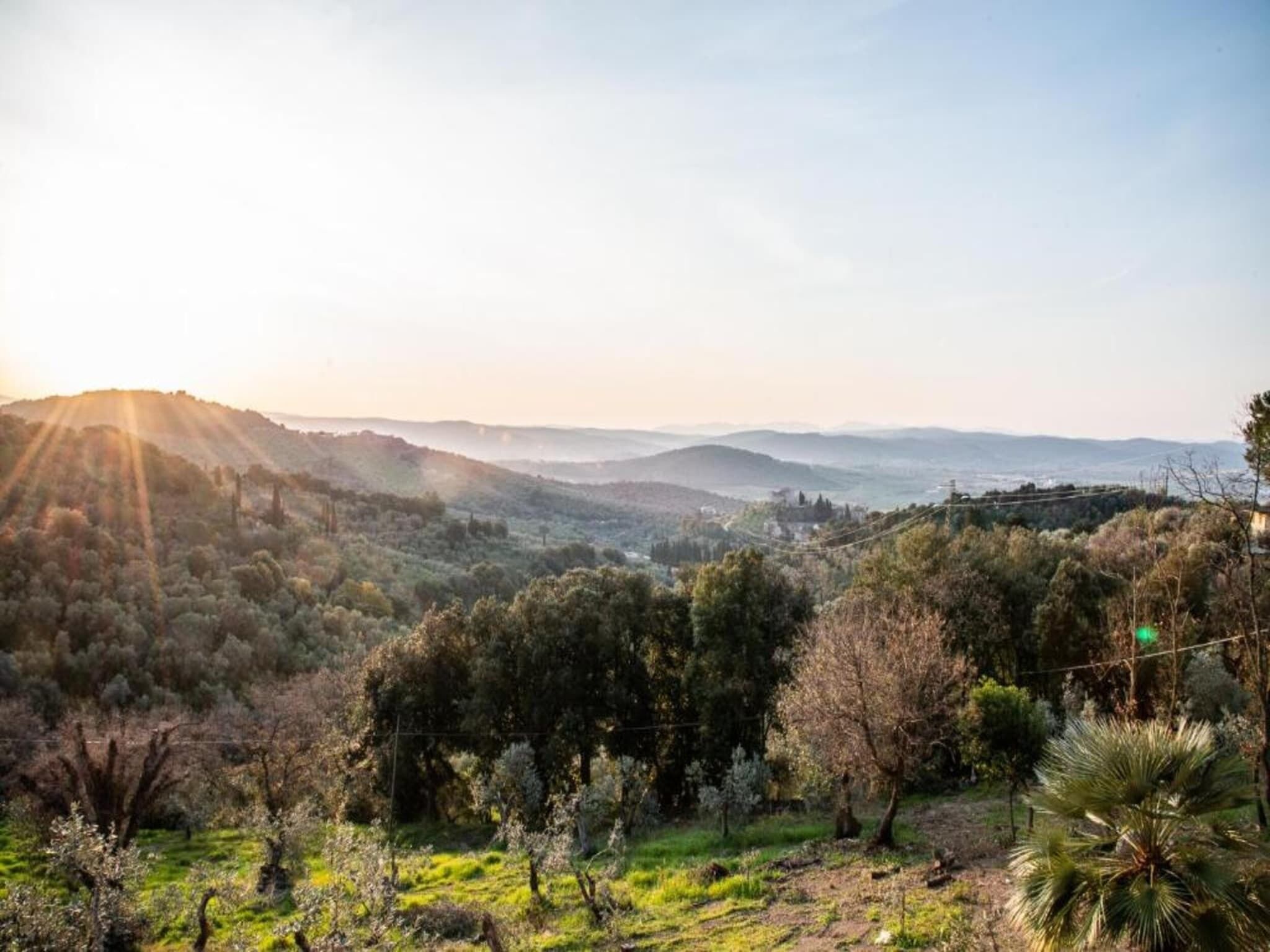 Un paisaje con colinas ondulantes y un valle.