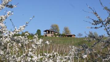 Terrein van de accommodatie