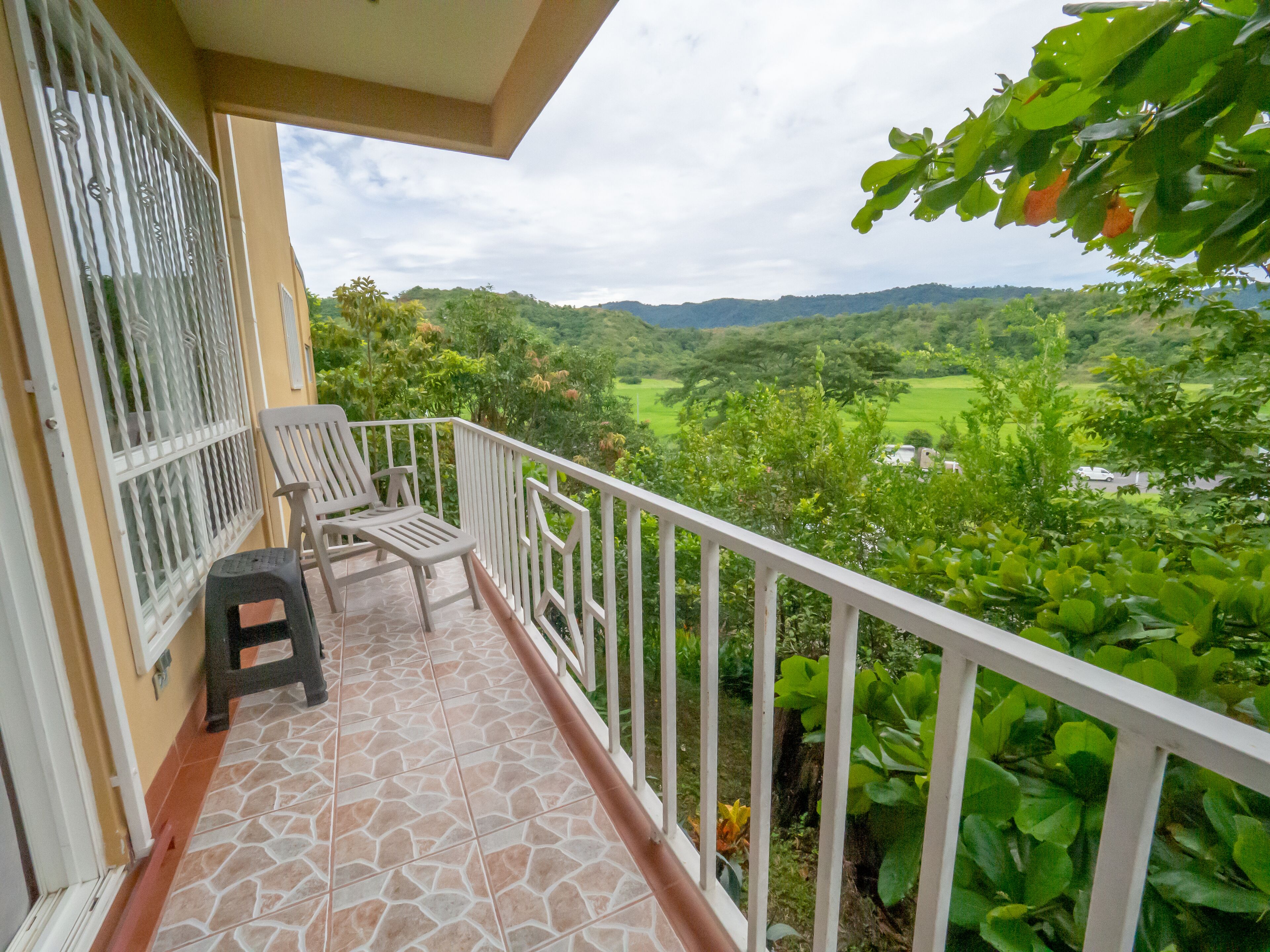 Pemandangan dari properti