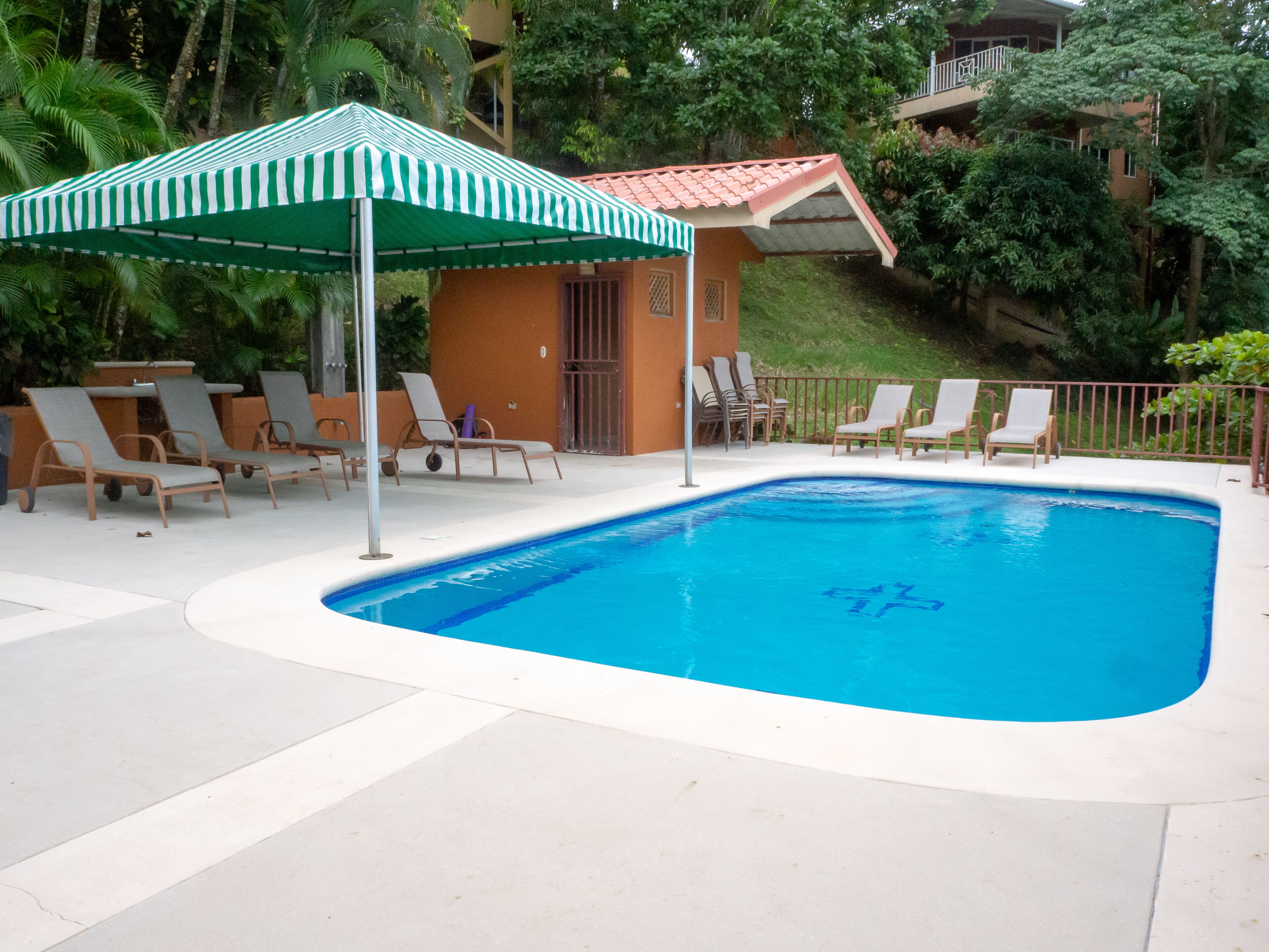 Hồ bơi ngoài trời 