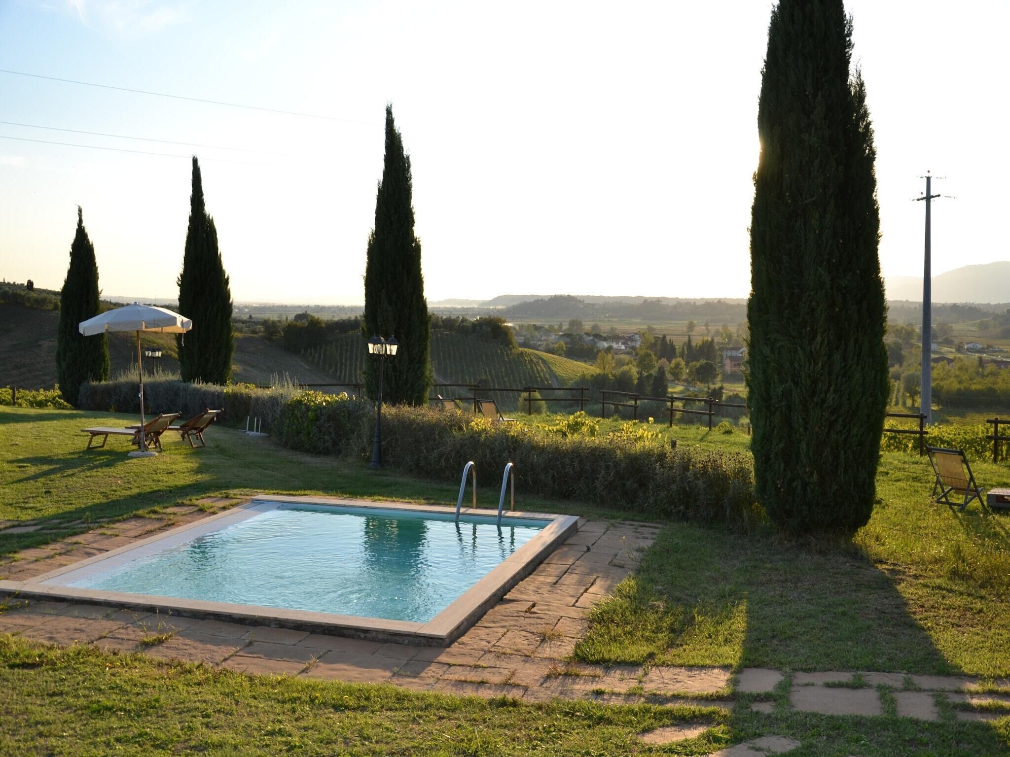Une piscine rectangulaire bordée de pierres, entourée de pelouse et de haies, avec de grands cyprès en arrière-plan.