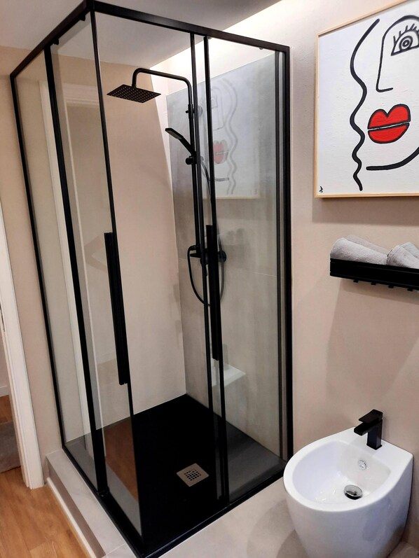 Shower, hair dryer, bidet, towels