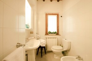 Shower, bidet - Agriturismo Poggio di Montepescoli - Il Ciliegio (Pelago (fi))