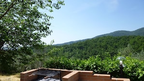 Un espace barbecue extérieur en briques, doté d’un gril, entouré d’une végétation luxuriante et avec des collines en arrière-plan.