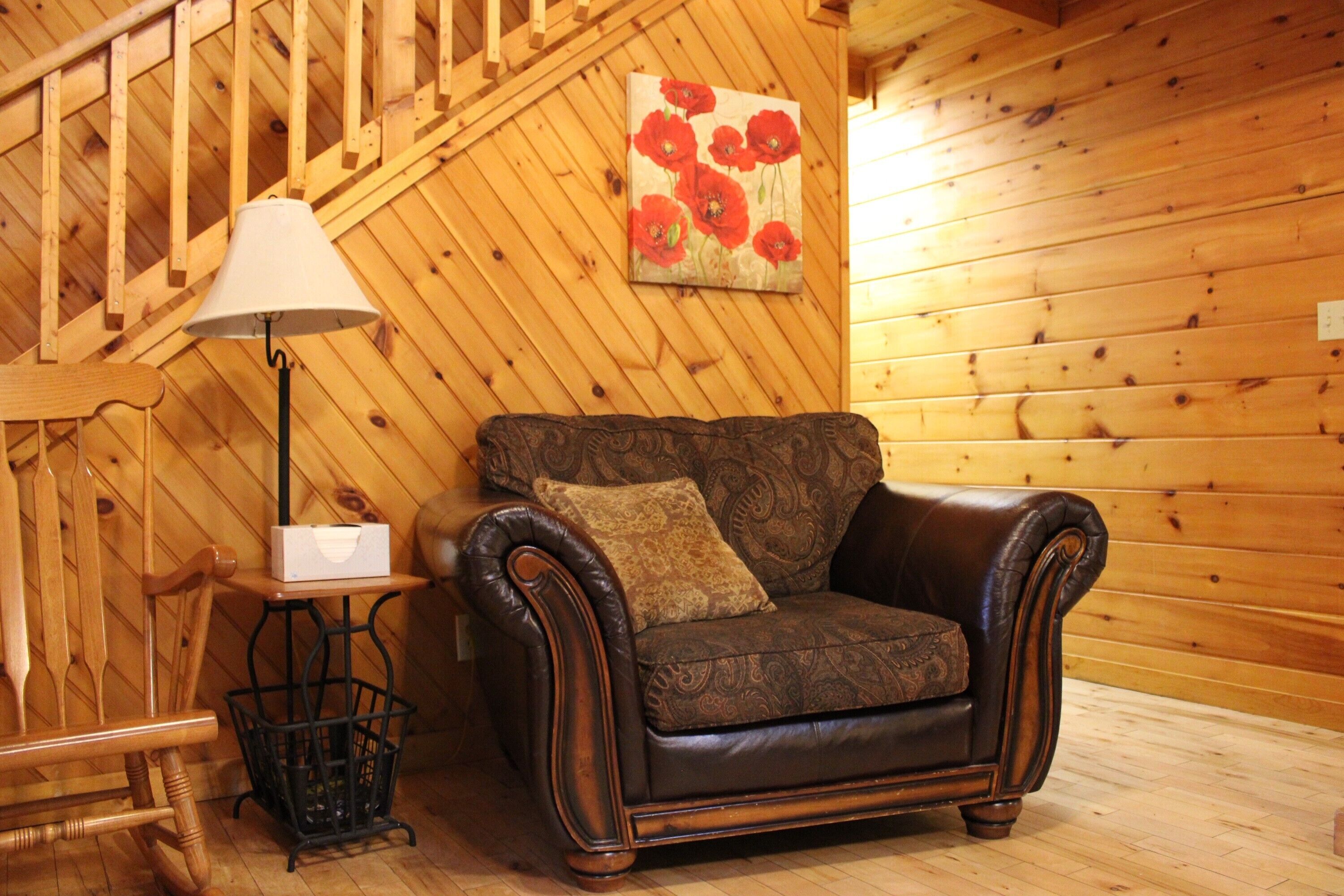 TV, fireplace, DVD player, books